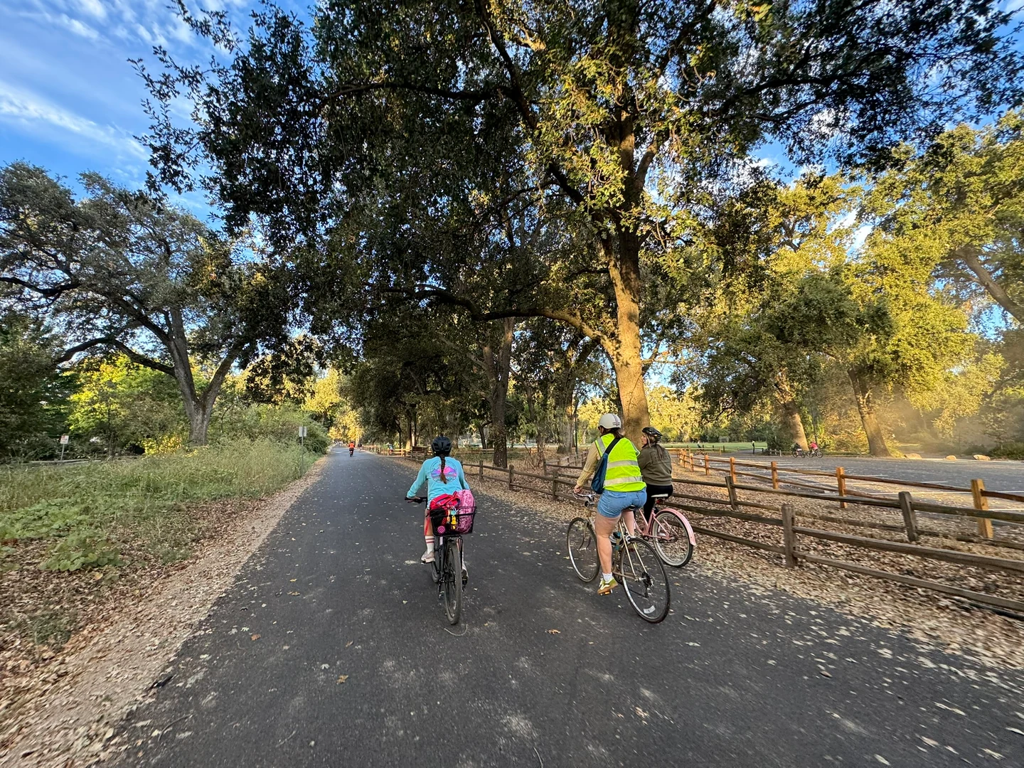Cyclists following a shaded paved path alongside a wooden fence