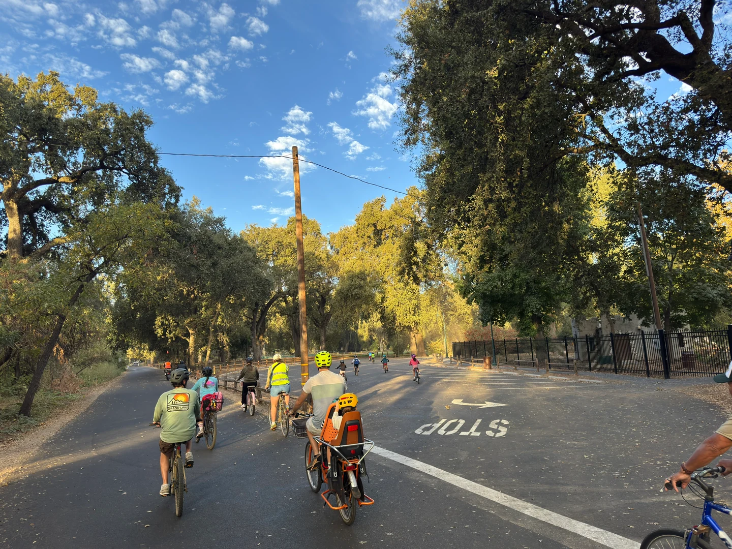 Kids and adults riding toward a tree-lined path, with a child in a rear bike seat